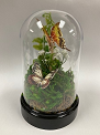 FC-AC-Butterfly-Terrarium.png